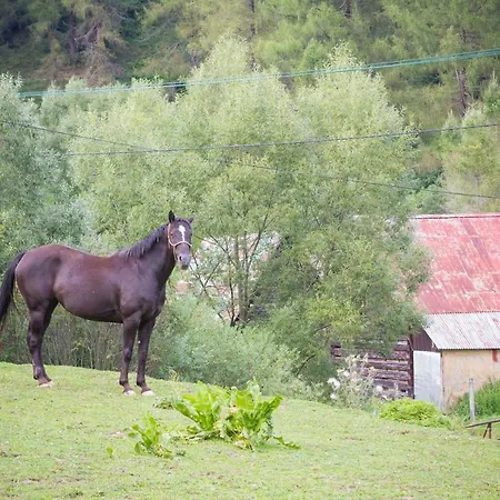 Tatil Evi Chalupa *